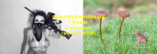 марки lsd Нея