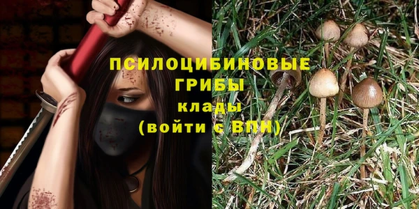 твердый Нефтегорск